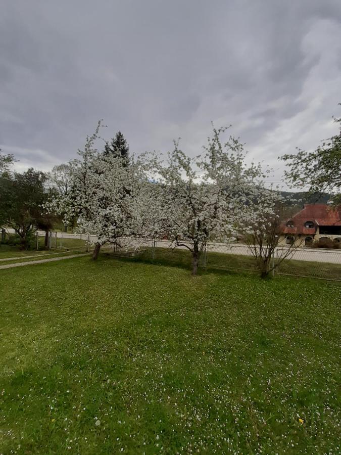 Apartman Djokovic Мокра гора Екстериор снимка