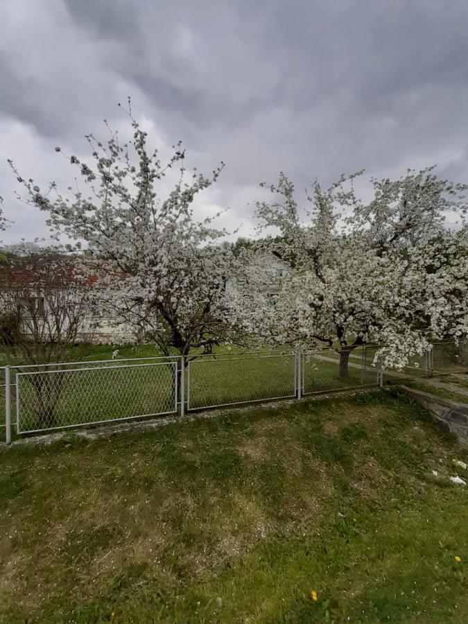 Apartman Djokovic Мокра гора Екстериор снимка